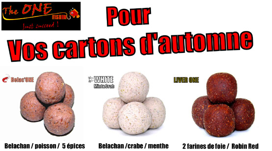 Promos d'automne