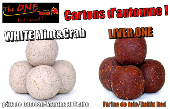 optez pour du bon !