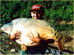 37.3kg - Sarulesti